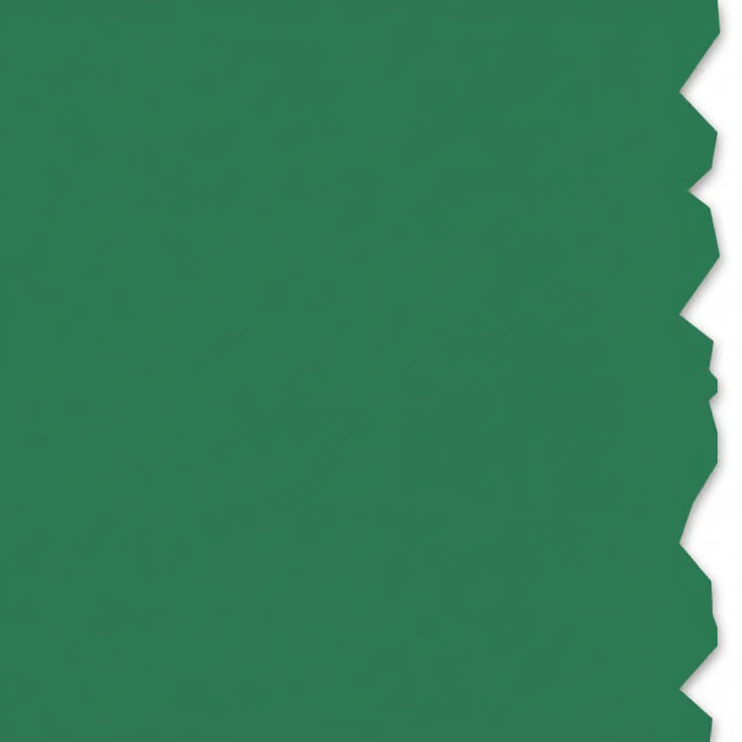 HellermannTyton 558-00340 Adhesive Labels, Solid Color Continuous Roll, 1.0" x 250', VL, Green, 250 ft/roll